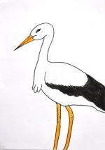 Ondrašková Lenka.jpg